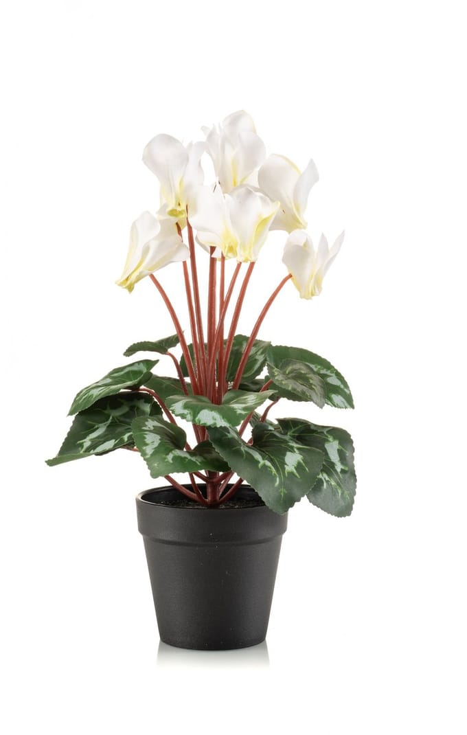 Emerald - Kunstplant Cyclamen in pot 30cm wit/groen - Kunstplant voor binnen