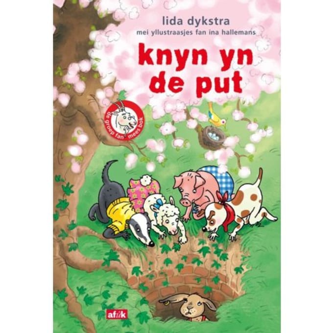 Knyn Yn De Put - De Groep Fan Mees Bok - Lida Dykstra