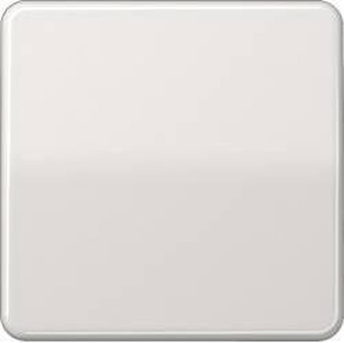 Jung CD500 Schakelelement/Centrale Plaat - CD590LG - E2V26