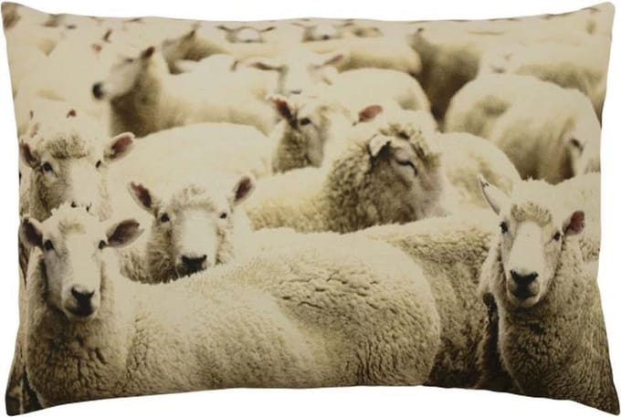 canvas kussen schapen 40x60cm