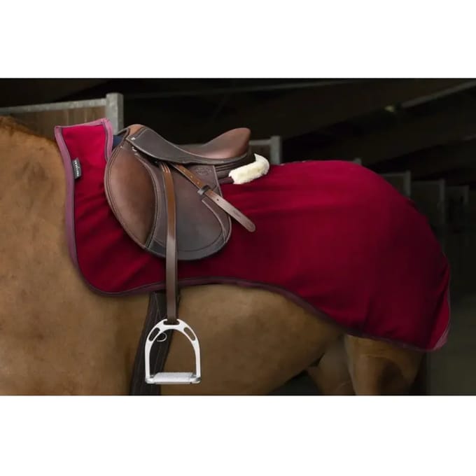 Paardendekens Equithème Teddy