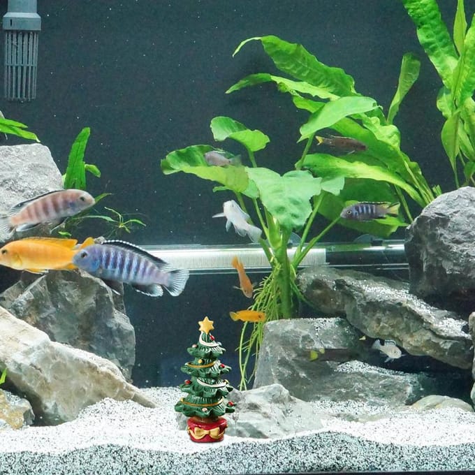 Ornement d'aquarium en résine pour sapin de Noël, boîte cadeau, décoration d'aménagement paysager de Noël red