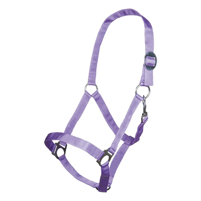 Halster voor paarden HKM Stars Economy