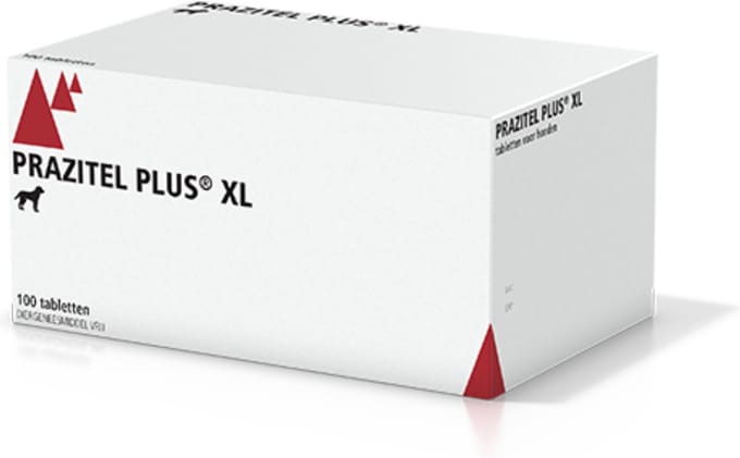 Prazitel Plus XL Hond