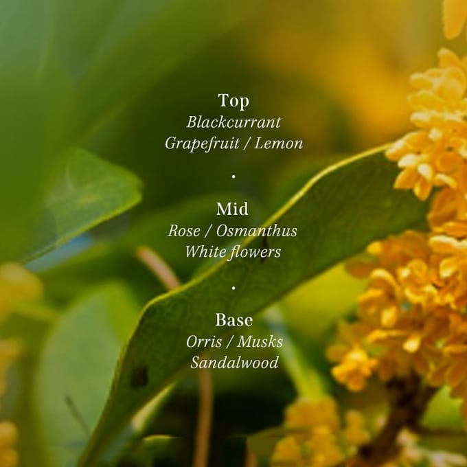 [Lador] Geparfumeerde Haarshampoo 530ml Osmanthus