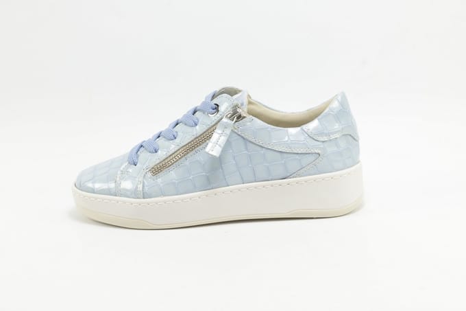 DLSport 6504 versione 0C navajo celeste L.BLAUW