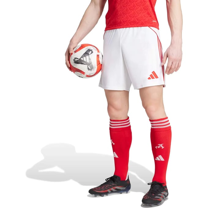 Korte Domicile Arsenal 2025/26