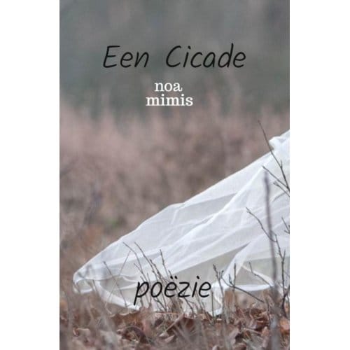 Een Cicade - Noa Mimis
