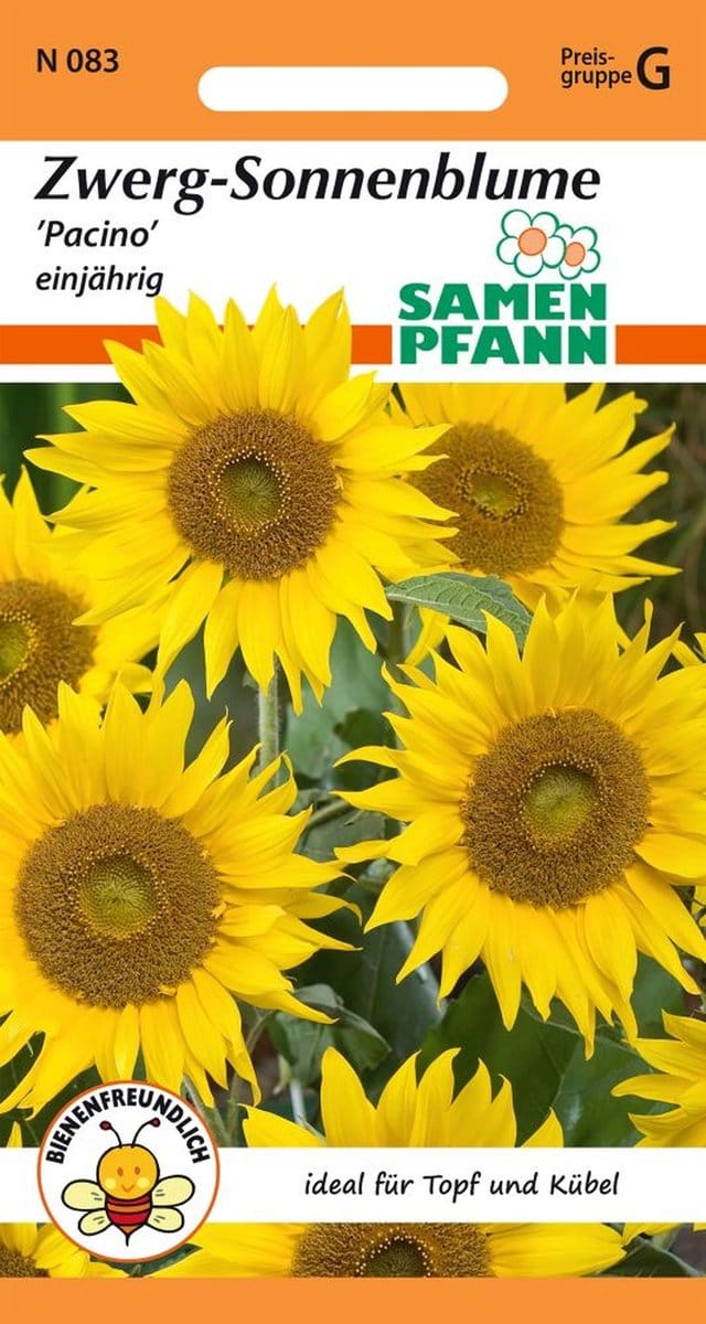 Zonnebloem, dwergzonnebloem, Pacino - bloemzaden, zonnebloemzaden