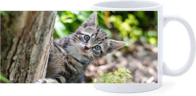 Beker - Kitten in Tuin