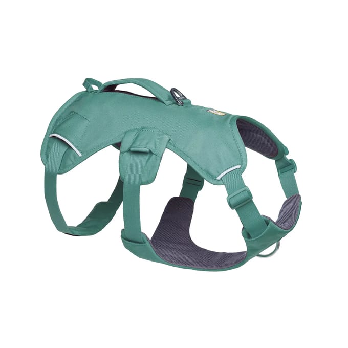 Hondentuig Ruffwear Web Master™