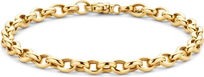 Blush Armband 2162YGO - Geel Goud (14Krt.)