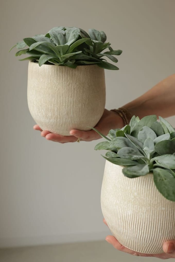 Bloempot Beige Miami Ovaal L28 x D12 x H14