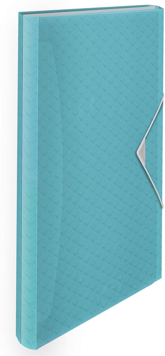Esselte Colour'Breeze A4 Uitzetbare Projectmap - Organiser met 5 Tabbladen/6 Vakken - Blauw
