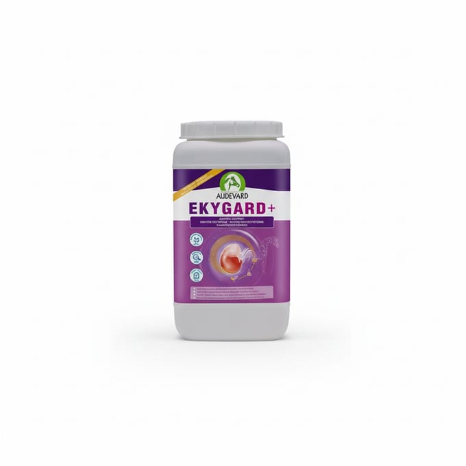 Audevard Ekygard + 2.4kg