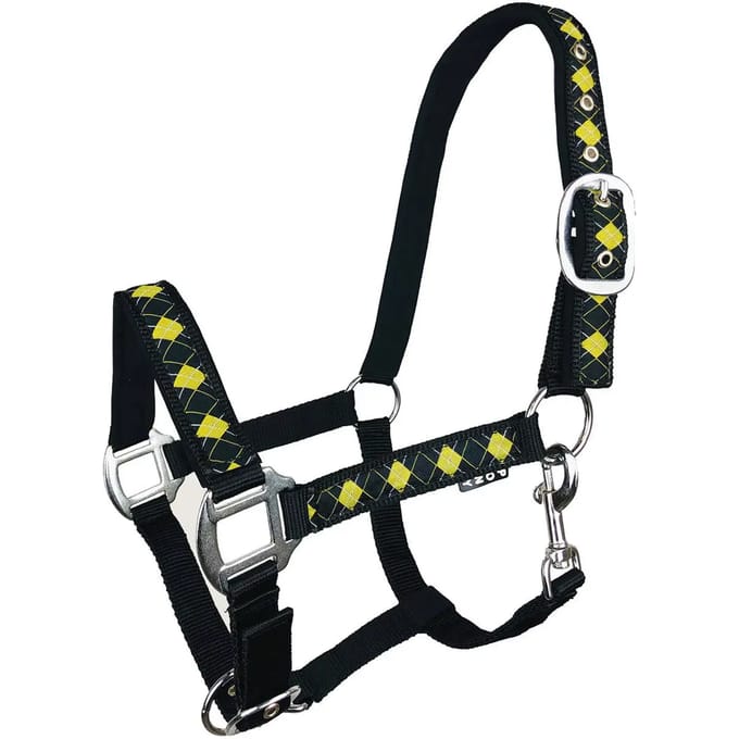 Halster voor paarden York Kimi