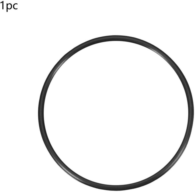 Dailygoods- O-ring 170 mm buitendiameter - Rubberen Sluitringen - Afdichtingsset - Nitrilrubber - Flexibel - Eenvoudig te installeren - Afdichtring