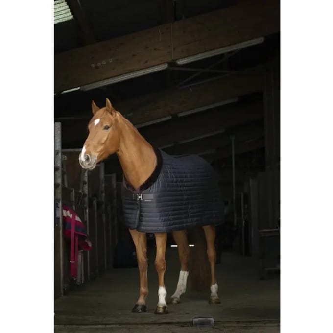 Paardendeken Equithème Teddy 0g