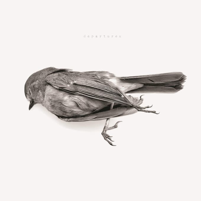 Downriver Dead Men Go - Departures (CD)