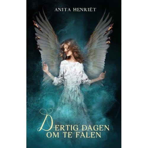 Dertig Dagen Om Te Falen - Anita Henriët