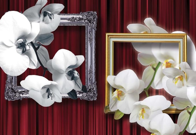 Fotobehang Flowers Orchids Frames | XL - 208cm x 146cm | 130g/m2 Vlies