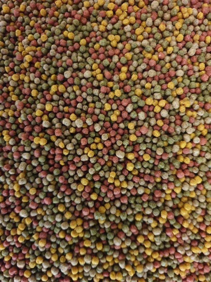 Multi mix 3mm Koi 1kg