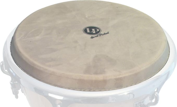 Latin Percussion Djembevel voor LP720X, 12 1/2" - Percussievel