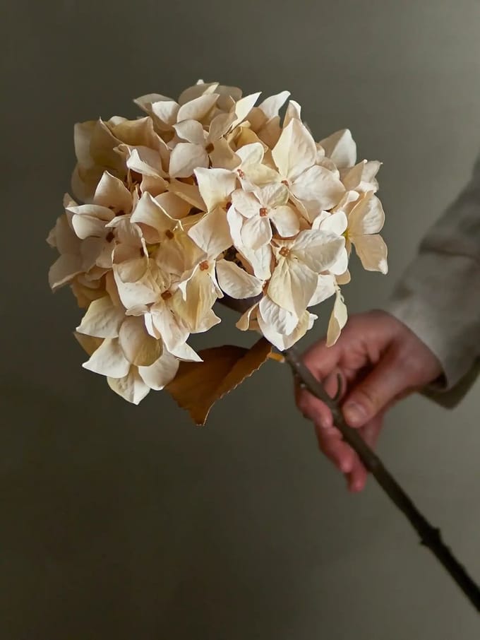 Bloomingville Hortensiastengel kunstbloem nature 65cm