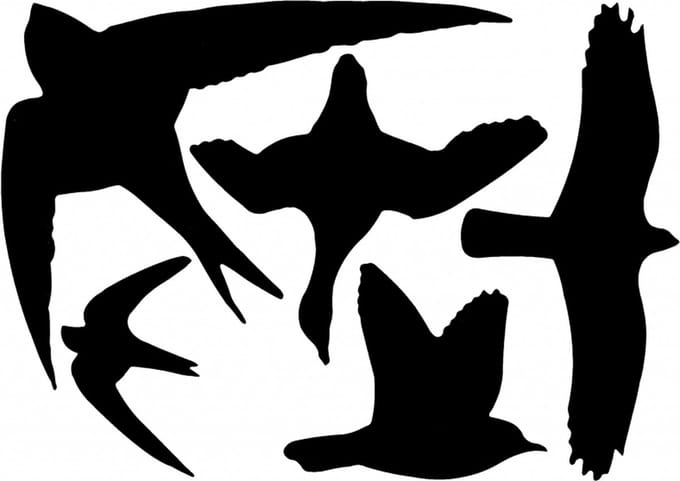 Vogels zwart silouette raam stickers 33 x 23 cm set van 5x stuks