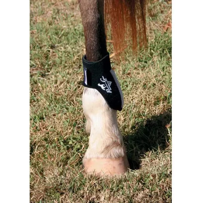 Paardenvoeten Professional's Choice