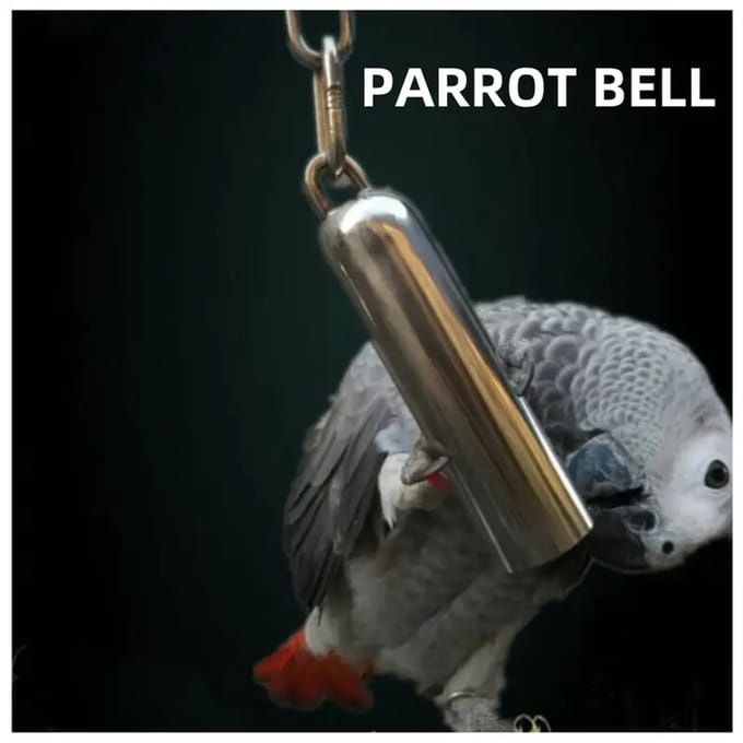 @ Lu’s Today® - Basic Pets Play Essentials – Papegaaienbel – RVS Speelbel – 8 × 1,7 cm – Inclusief 18 cm Ketting – Vogel Speelgoed