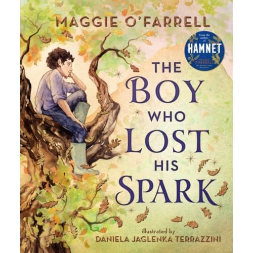 The Boy Who Lost His Spark - Maggie O'Farrell