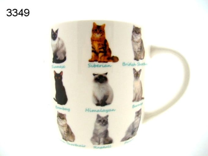 Lesser & Pavey Mok katten - 300 ml - Leonardo Collection - porselein