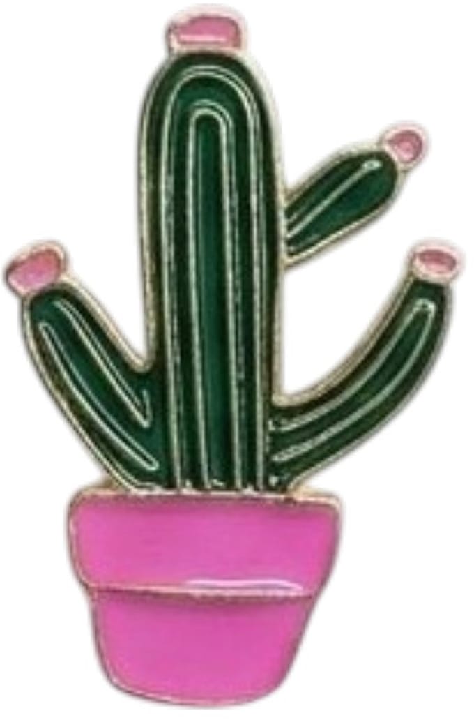 2 Love It Cactus Joy - broche - goud met groen emaille - roze bloempot - speldsluiting
