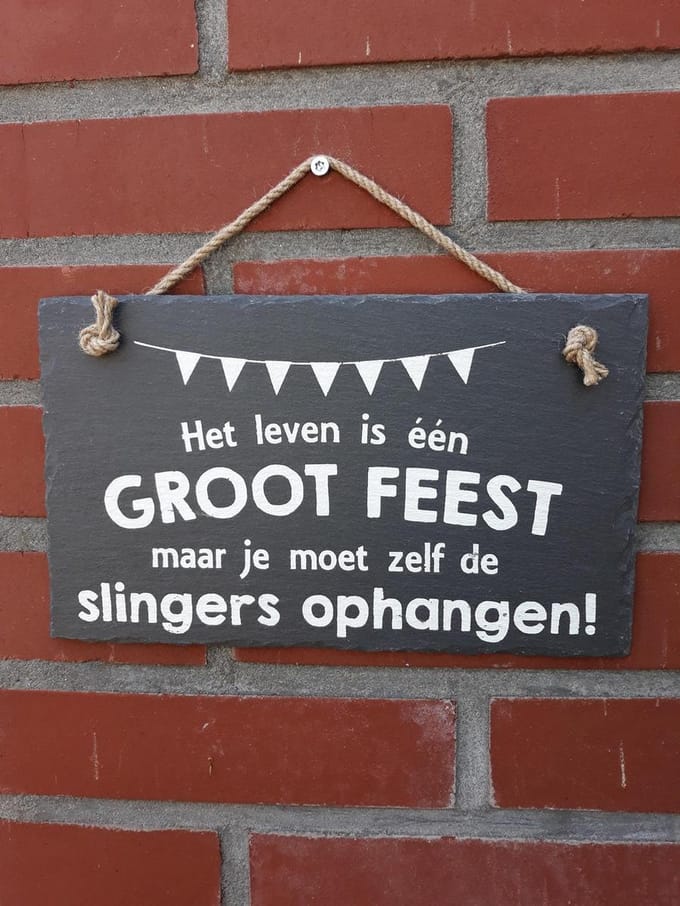Leisteen - Leven is één groot feest