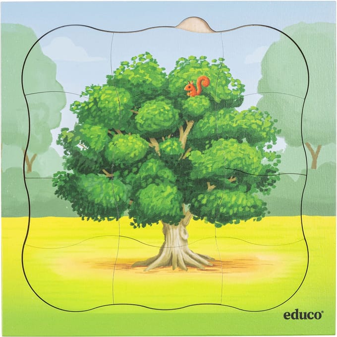 Groeipuzzel bos - Eikenboom