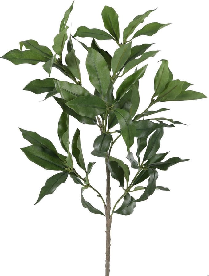 Viv! Home Luxuries Steranijs - zijden bloem - groen - 91cm