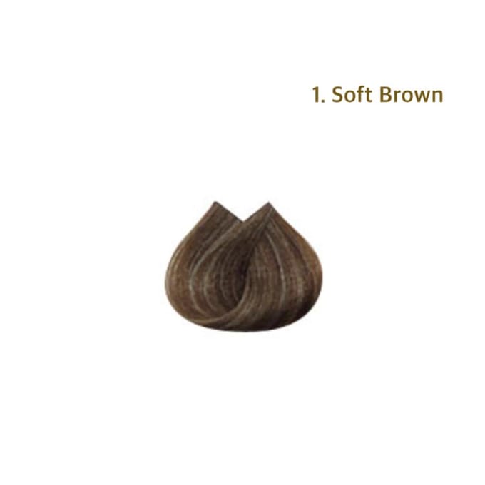 Richenna Easy Speedy Gold Haarkleuring [Shampoo Type Dye] 1ea (Tube/Eén 40g + Tweede 40g)- 2 Kleuren #1.Soft Brown brown