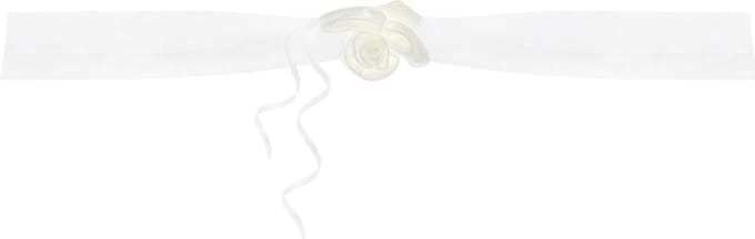 PartyDeco trouwauto organza lint Rozen - Bruiloft - creme - 2x stuks - just married
