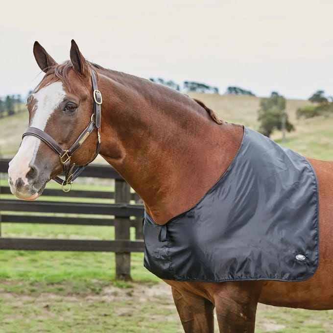 Satijnen schouderbeschermer voor paarden Weatherbeeta