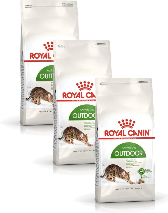 Royal Canin Outdoor - Kattenvoer - 3 x 2 kg