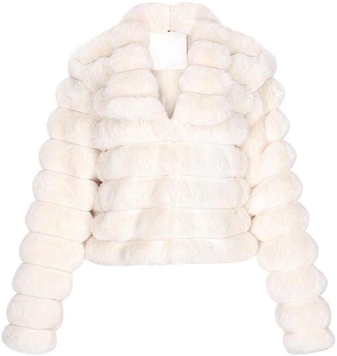 taddy jacket