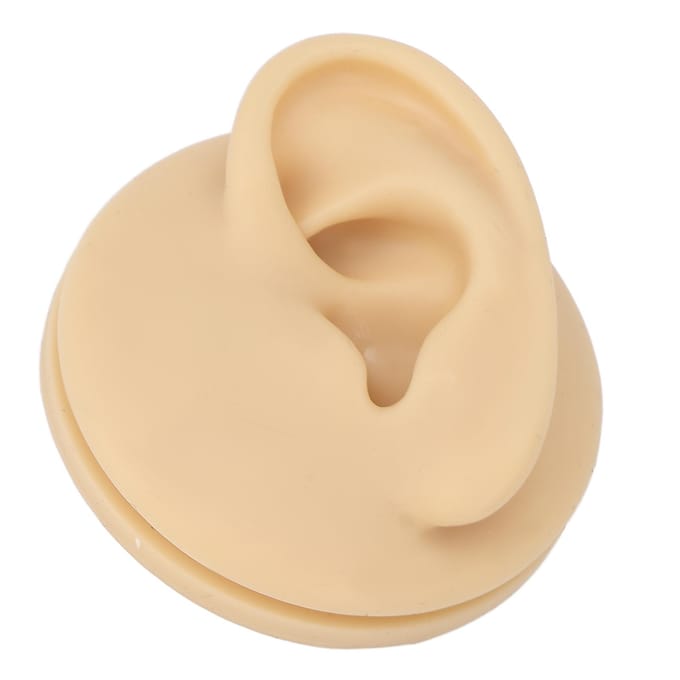 Modèle d'oreille gauche en silicone souple, modèle de pratique d'acupuncture de l'oreille, modèle d'affichage de simulation d'oreille beige