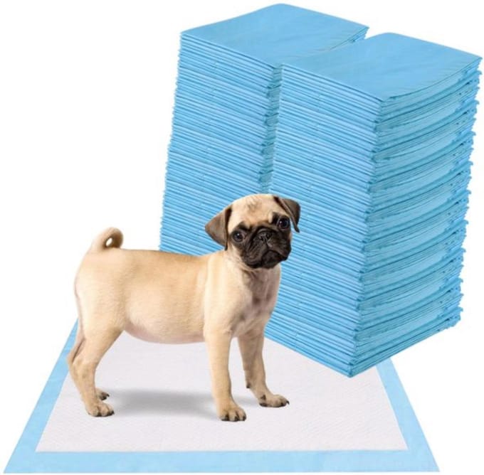 Puppy Training Pads – Plasmatjes hond - Zindelijkheidstraining - Hondentoilet - 60 x 60 cm - 200 stuks
