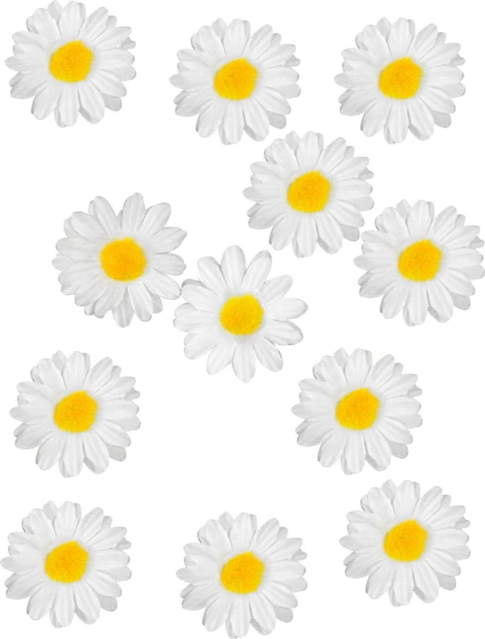 HOBI - 12 Daisy tafeldecoraties 3,5 cm
