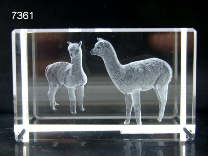3D Lasergravure Alpaca’s in Glasblokje – 8 x 5 x 5 cm – Inclusief Geschenkverpakking