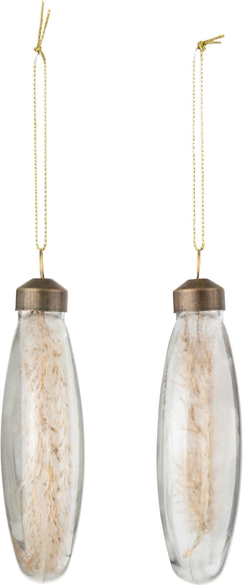 J-Line kerstbal Gedroogde Pampas - glas - transparant - medium - doos van 4