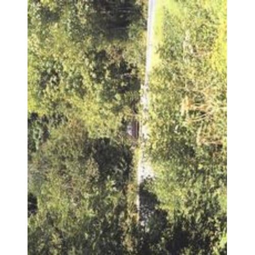 In Almost Every Picture - T. Whisnand