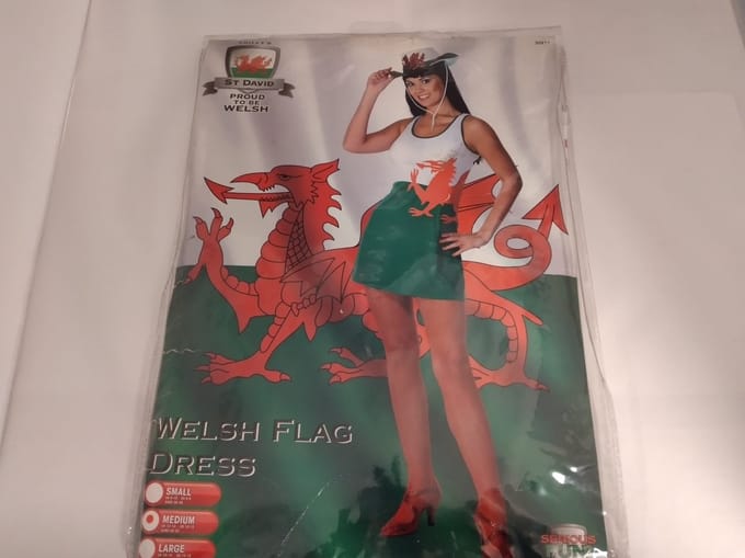 Welsh Flag Dress M