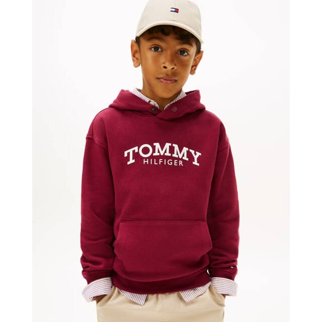 Tommy Hilfiger  Capuchon sweaters MONOTYPE PRINT HOODIE